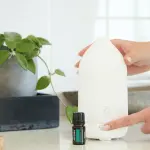 5 Modi per Vivere in Modo Sostenibile